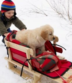 L.L.Bean Kids' Pull Sled -L.L.Bean 111509 0 47