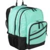 L.L.Bean Super Deluxe Book Pack, 40L -L.L.Bean 290888 39423 41