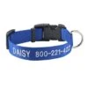 L.L.Bean Personalized Pet Collar 2 L.L.Bean Personalized Pet Collar -L.L.Bean 291164 11 41