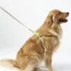 L.L.Bean Personalized Reflective Pet Harness -L.L.Bean 302849 257 41